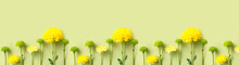 Many Beautiful Yellow Flowers On Color Background. Pattern For Design