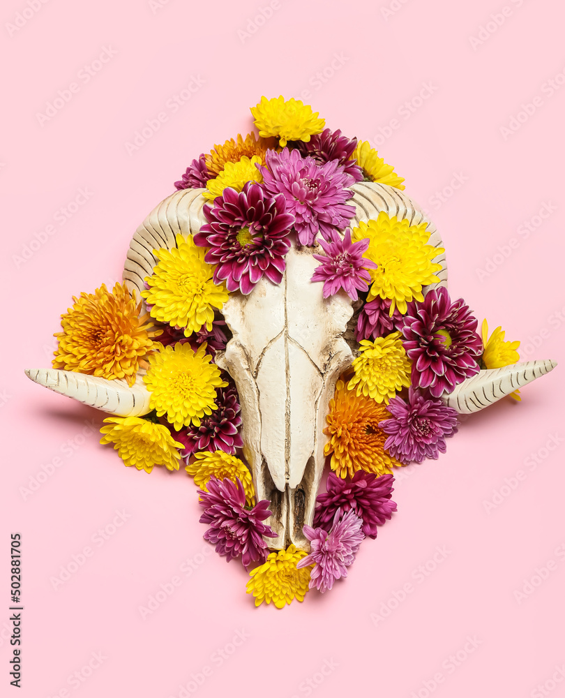 Skull of sheep with flowers on pink background
