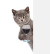 Winking cat holds glass of red wine behind empty white banner. isolated on white background
