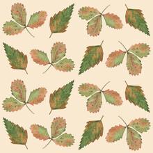 Seamless Background, Strawberry, Leaf, Watercolor, Drawing, Green, Peach Background, Background, Birch, Tree, Forest, Forest Plant, Postcard, Seamless, Red, Brown, Beige, Autumn, Fabric, Paper, Patter