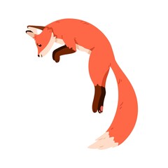 Wall Mural - Cute fox jumping up and hunting. Wild forest animal profile in motion. Funny foxy pup character with orange fur, fluffy tail. Flat vector illustration isolated on white background