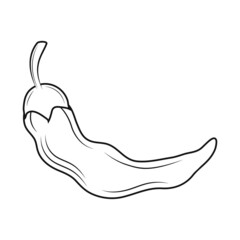 Sticker - chili pepper sketch icon