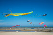 Flying kite  festival with Octopus,jellyfish,fish and shaped animal.Various colorful kites flying in the blue sky on the public beach.