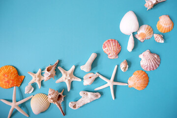 Colorful shells composition on blue background. Summer concept top view background. 