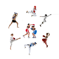 Wall Mural - Collage made of portraits of male and female sportsmen. MMA fighter, boxers, and taekwondo fighters, swordsman or fencer. Sport competition concept