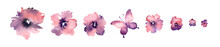 Flowers In A Bouquet,purple Watercolor Set Of Purple Flowers And Butterfly