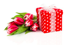Beautiful Tulips With Red Polka-dot Gift Box. Happy Mothers Day, Romantic Still Life, Fresh Flowers