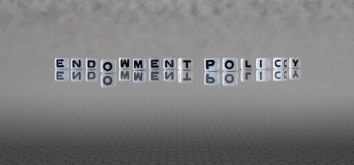 Sticker - endowment policy word or concept represented by black and white letter cubes on a grey horizon background stretching to infinity