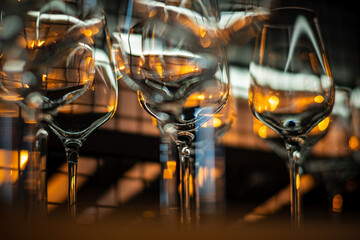 Sticker - Different empty clean glasses on counter in bar