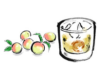 梅の実とグラスに入った梅酒の手描き和風イラスト