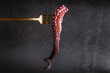 © ADDICTIVE STOCK - Raw octopus tentacle on fork