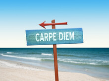 Carpe Diem Seize The Day Quote On Sign.