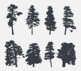 Wall Mural - Set evergreen fir trees silhouette