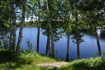 Wooden steps lead down a hill between white birch trees to calm blue lake waters of a flowage on the Chippewa River in northern Wisconsin.