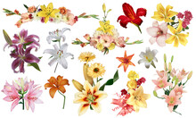 Many Pictures Of Beautiful Flowers Are Cut And Pasted On A White Background. A. (3)