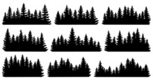 Fir Trees Silhouettes. Coniferous Spruce Horizontal Background Patterns, Black Evergreen Woods Vector Illustration. Beautiful Hand Drawn Panorama With Treetops Forest