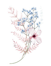 Watercolor Bouquet With Wild Pink And Blue Flowers, Fern Branches, Leaves, Twigs. Hand Drawn Floral Illustration