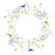 Watercolor Painted Floral Round Frame On White Background. Blue And Yellow Wild Flowers, Branches, Leaves And Twigs.