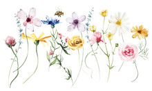 Watercolor Bouquet With Diverse Wild Colourful Flowers, Twigs. Violet, Blue And Yellow Flowers. Floral Illustration