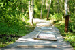 Tactile path in barefoot park created to feel the ground and other materials with bare feet. Strengthen foot and leg muscles by walking on wood, stone, gravel in a park environment.