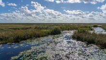  
Marshland In Everglades National Park With Blue Sky And White Clouds In Florida, USA. Everglades National Park Is A 1.5-million-acre Wetlands Preserve. 
