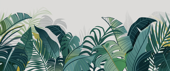 abstract foliage and botanical background. green tropical forest wallpaper of monstera leaves, palm,