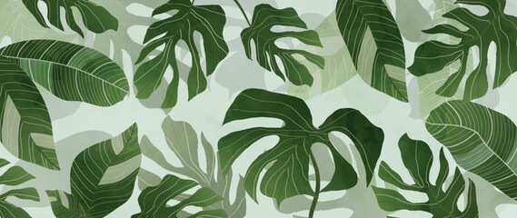 abstract foliage and botanical background. green tropical forest wallpaper of monstera leaves, palm,