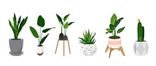 Potted Plants Vector Collection On White Background. Set Of Interior House Plants With Flower Pot, Cactus, Vase, Leaves And Foliage. Different Home Indoor Green Decor Illustration For Decoration, Art.