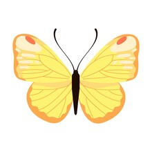 Meadow Yellow Watercolor Butterfly. Vector Illustration Of Insect With Pattern On Wings. Cartoon Silhouette With Flying Butterfly Isolated On White