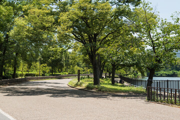 Canvas Print - 大阪にある公園