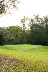 Poster - Lawn and trees in a golf course