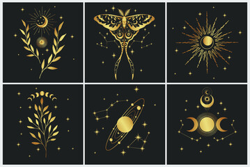 Wall Mural - Magic art vector set. Decorative symbolic moth, planets, herbs and stars. Gold contour sketches, vector mythology set.