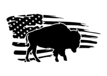 Buffalo On American Flag