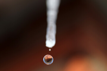 Wall Mural - icicle melting in the sun