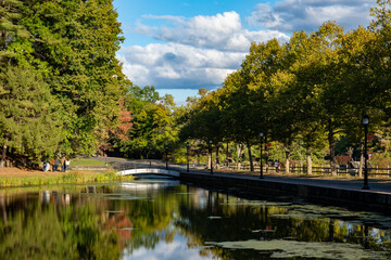 Wall Mural - beautiful nature view with a clear lake in forest park springfield, massachusetts