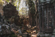 Ta Phrom Abandoned Mini Temple Krong Cambodia