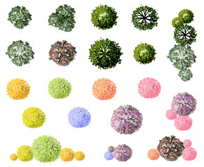 Wall Mural - vector set of tropical green tree and flower top view isolated on white background for landscape pla