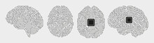 Circuit Board Brains. Artificial Intelligence Microchip, AI Chip And Digital Brain Processor Vector Illustration Set