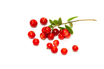 Wall Mural - Cowberry. Natural food of wild nature, rich in vitamins