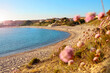 Isola Rossa Sardinien Strand. Spiaggia Longa (Funtana 'Eccia)
Blumen. Anschnitt mit Unschärfen 