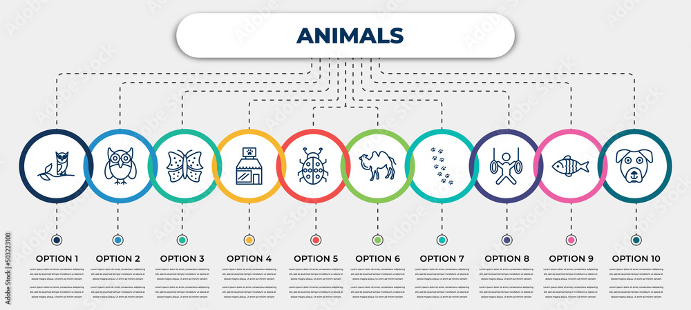 vector infographic template with icons and 10 options or steps ...