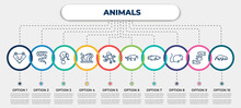Vector Infographic Template With Icons And 10 Options Or Steps. Infographic For Animals Concept. Included Badger, Coral Snake, Elephant On A Ball, Kraken, Aquarium Octopus, Panther, Big Fish,