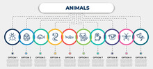 Vector Infographic Template With Icons And 10 Options Or Steps. Infographic For Animals Concept. Included Mite, Hedgehog, Perch, Moray, Hummerhead, Raccoon, Beaver, Pig, Pelican.