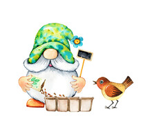 Watercolor Gardening, Horticulture Cartoon Gnome, Seedling, Gardener Tools Set. Spring Growing, Sowing, Cultivating Dwarf Illustrations Isolated On White