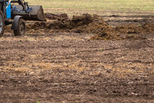 Cleaning Manure On The Field With A Tractor.