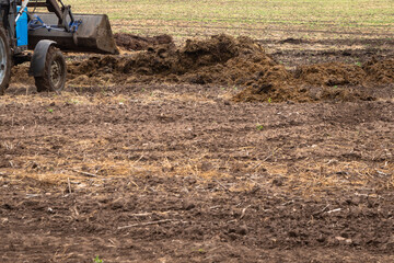 Cleaning manure on the field with a tractor.