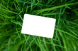 business card mockup on fresh green garden grass. ecology enviroment nature hunt background concept with copy space 