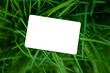 business card mockup on fresh green garden grass lawn. ecology enviroment nature hunt background concept with copy space 