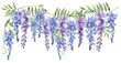 Wisteria Small Border Line Watercolor Hand Painted on Isolated White Background 