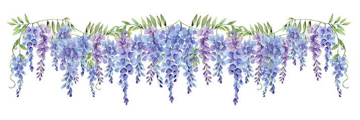 Wisteria Long Border Line Watercolor Hand Painted on Isolated White Background